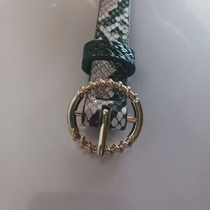 Chic Snake Print Belt with Gold Buckle